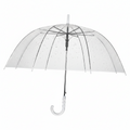 Clear Umbrella