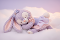 Hong Kong Disney Sleeping StellaLou