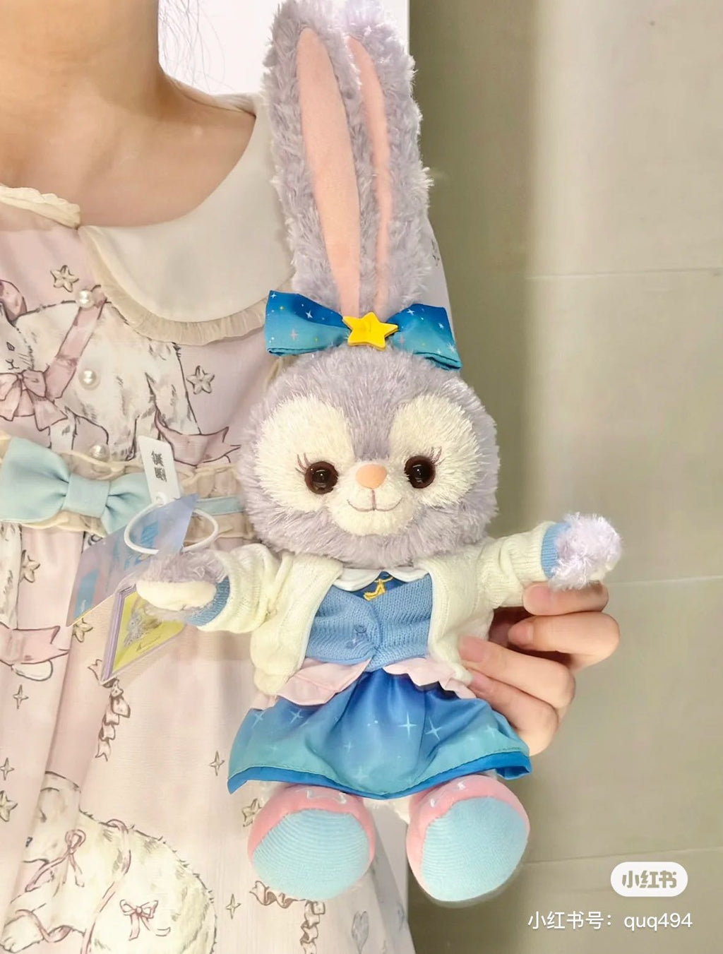 2025 Hong Kong Disney Christmas Series
