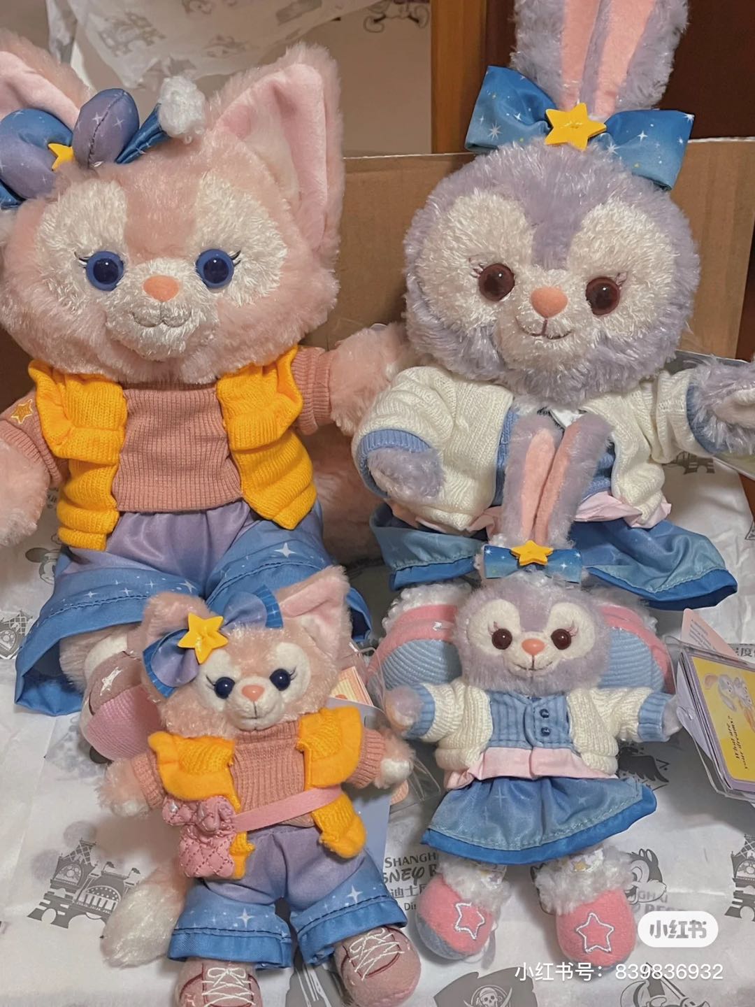 2025 Hong Kong Disney Christmas Series